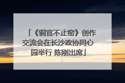 《铜官不止窑》创作交流会在长沙政协同心园举行 陈刚出席