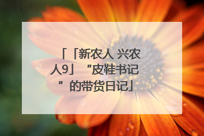 「新农人 兴农人9」“皮鞋书记”的带货日记
