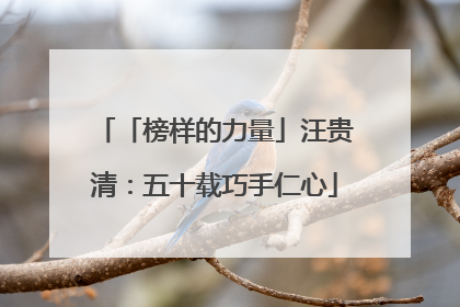 「榜样的力量」汪贵清：五十载巧手仁心