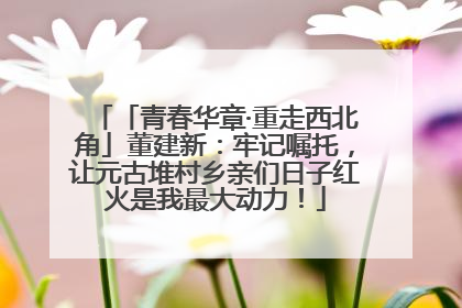 「青春华章·重走西北角」董建新：牢记嘱托，让元古堆村乡亲们日子红火是我最大动力！