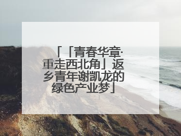 「青春华章·重走西北角」返乡青年谢凯龙的绿色产业梦