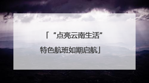 “点亮云南生活”特色航班如期启航