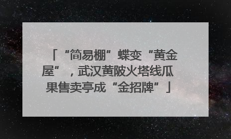 “简易棚”蝶变“黄金屋”，武汉黄陂火塔线瓜果售卖亭成“金招牌”