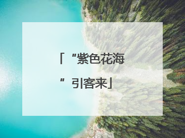 “紫色花海”引客来