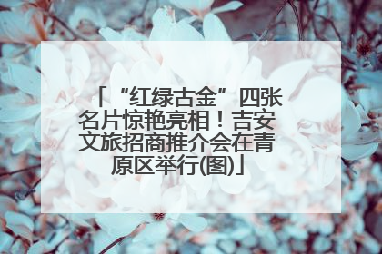 “红绿古金”四张名片惊艳亮相！吉安文旅招商推介会在青原区举行(图)