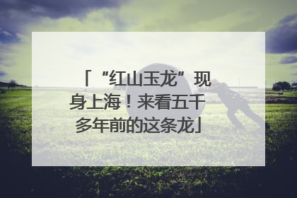 “红山玉龙”现身上海！来看五千多年前的这条龙