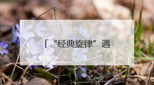 “经典旋律”遇见“未来节拍”！在泉州，台胞与机器人即兴共舞