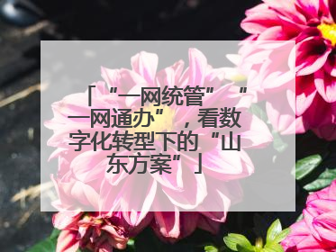 “一网统管”“一网通办”，看数字化转型下的“山东方案”