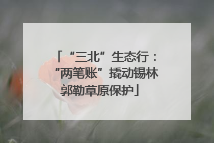 “三北”生态行：“两笔账”撬动锡林郭勒草原保护