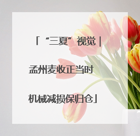 “三夏”视觉｜孟州麦收正当时 机械减损保归仓
