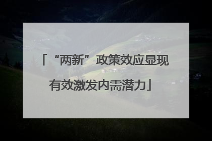 “两新”政策效应显现 有效激发内需潜力