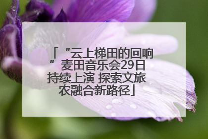 “云上梯田的回响”麦田音乐会29日持续上演 探索文旅农融合新路径