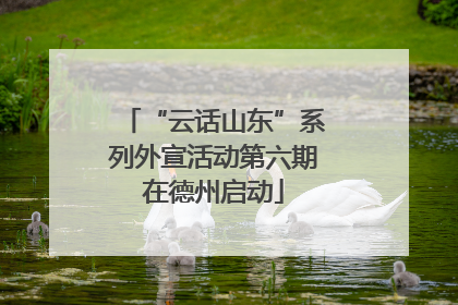 “云话山东”系列外宣活动第六期在德州启动