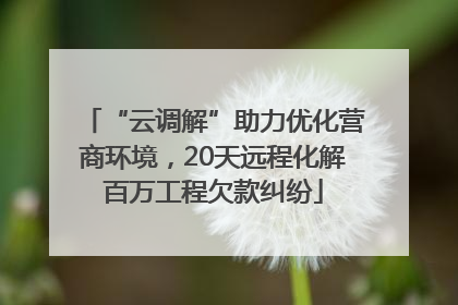 “云调解”助力优化营商环境，20天远程化解百万工程欠款纠纷