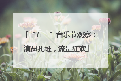 “五一”音乐节观察：演员扎堆，流量狂欢