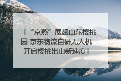“京燕”展翅山东樱桃园 京东物流自研无人机开启樱桃出山新速度
