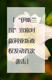 “伊斯兰国”宣称对叙利亚新政权发动首次袭击