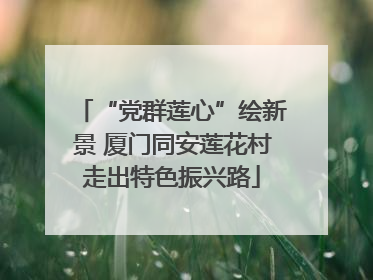“党群莲心”绘新景 厦门同安莲花村走出特色振兴路