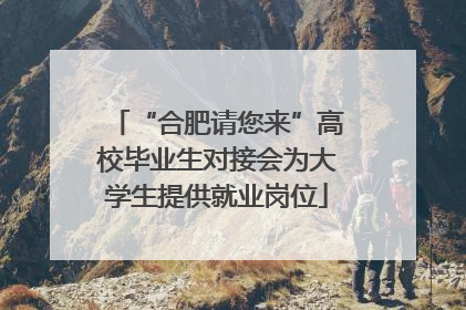 “合肥请您来”高校毕业生对接会为大学生提供就业岗位