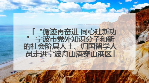 “循迹再奋进 同心建新功” 宁波市党外知识分子和新的社会阶层人士、归国留学人员走进宁波舟山港穿山港区