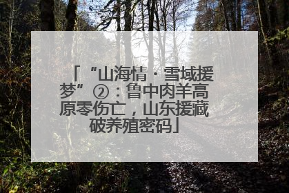“山海情・雪域援梦”②：鲁中肉羊高原零伤亡，山东援藏破养殖密码