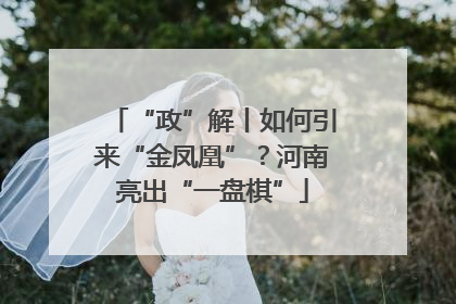“政”解丨如何引来“金凤凰”？河南亮出“一盘棋”