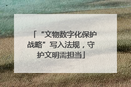 “文物数字化保护战略”写入法规，守护文明需担当