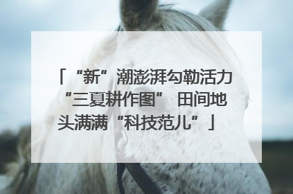 “新”潮澎湃勾勒活力“三夏耕作图” 田间地头满满“科技范儿”