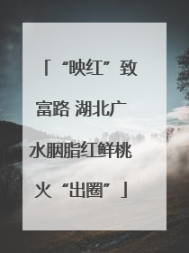 “映红”致富路 湖北广水胭脂红鲜桃火“出圈”