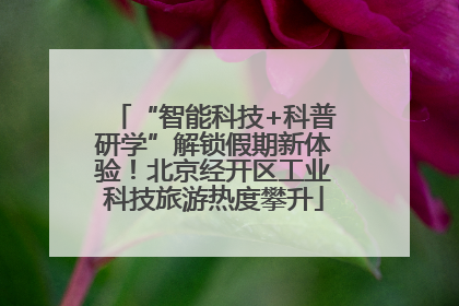 “智能科技+科普研学”解锁假期新体验！北京经开区工业科技旅游热度攀升