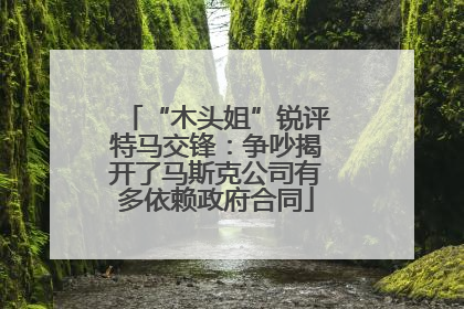 “木头姐”锐评特马交锋：争吵揭开了马斯克公司有多依赖政府合同