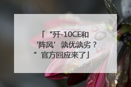 “歼-10CE和‘阵风’孰优孰劣？”官方回应来了