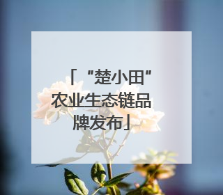 “楚小田”农业生态链品牌发布