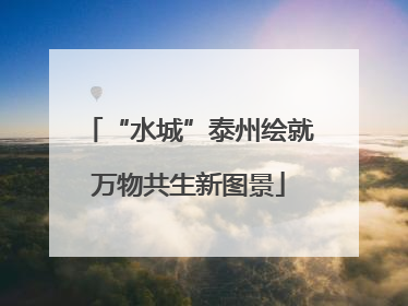 “水城”泰州绘就万物共生新图景