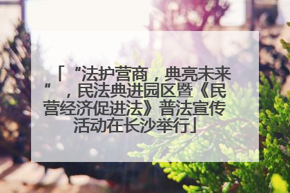 “法护营商，典亮未来”，民法典进园区暨《民营经济促进法》普法宣传活动在长沙举行