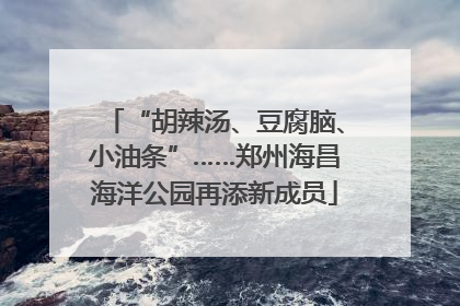 “胡辣汤、豆腐脑、小油条”……郑州海昌海洋公园再添新成员
