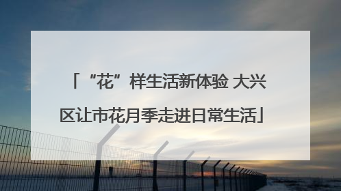“花”样生活新体验 大兴区让市花月季走进日常生活