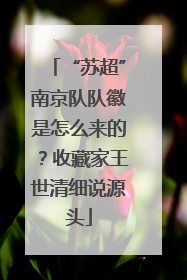 “苏超”南京队队徽是怎么来的？收藏家王世清细说源头