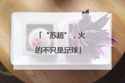 “苏超”，火的不只是足球