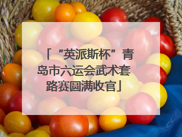 “英派斯杯”青岛市六运会武术套路赛圆满收官