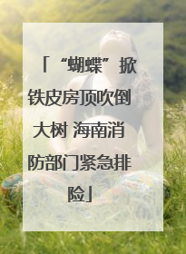 “蝴蝶”掀铁皮房顶吹倒大树 海南消防部门紧急排险