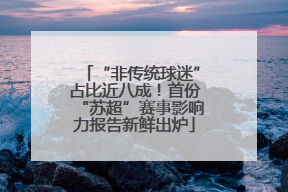“非传统球迷”占比近八成！首份“苏超”赛事影响力报告新鲜出炉