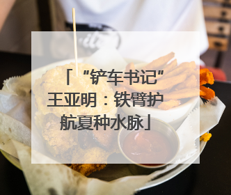 “铲车书记”王亚明：铁臂护航夏种水脉