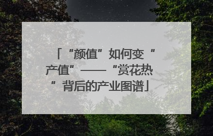 “颜值”如何变“产值”——“赏花热”背后的产业图谱
