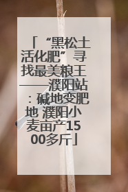 “黑松土活化肥”寻找最美粮王——濮阳站：碱地变肥地 濮阳小麦亩产1500多斤