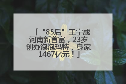 “85后”王宁成河南新首富，23岁创办泡泡玛特，身家1467亿元！