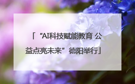 “AI科技赋能教育 公益点亮未来”德阳举行