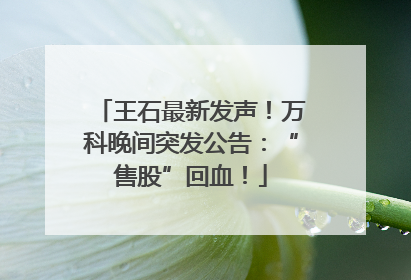 王石最新发声！万科晚间突发公告：“售股”回血！