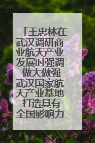 王忠林在武汉调研商业航天产业发展时强调 做大做强武汉国家航天产业基地 打造具有全国影响力的“中国星谷”