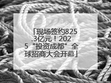 现场签约825.3亿元！2025“投资成都”全球招商大会开幕